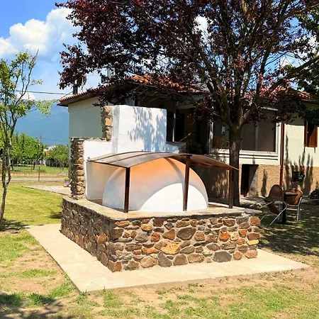 Kerkinis Nest * Kerkini