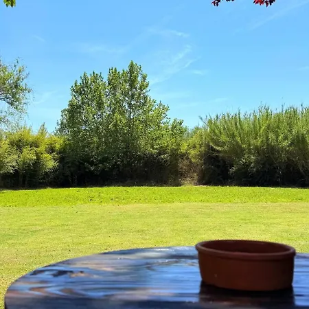 Kerkinis Nest Керкини