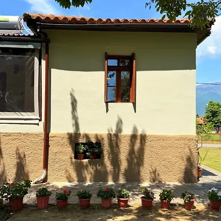 Kerkinis Nest Case de vacanță Kerkini