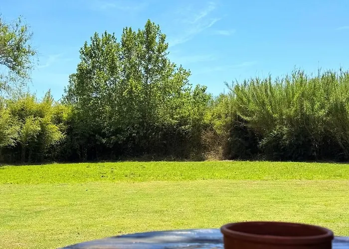 Kerkinis Nest Kerkíni